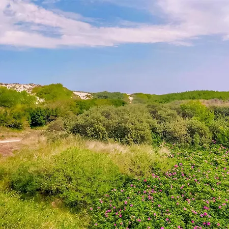 2 Bedroom Cozy In * Bredene